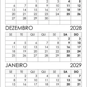 Calendário Novembro, Dezembro 2028 e Janeiro 2029